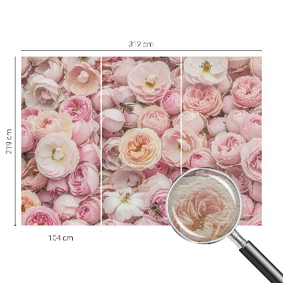 Fototapeta na stenu Krásne kvety