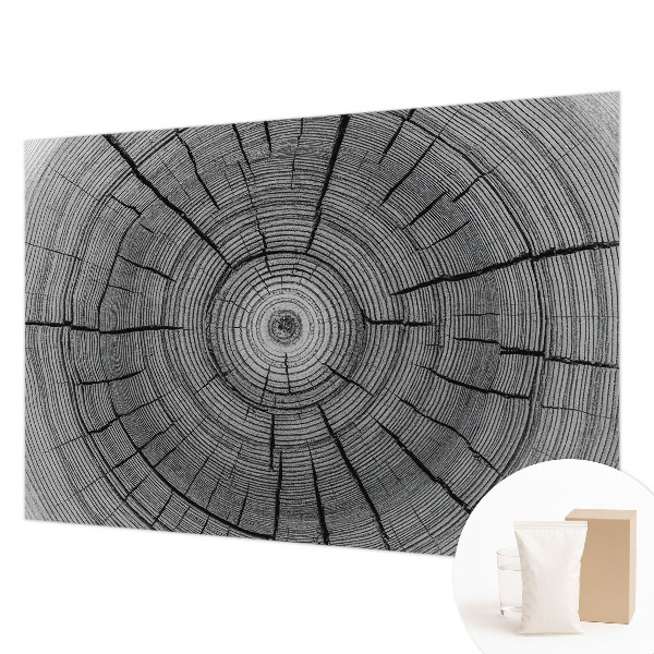 Vliesová fototapeta Lesná harmónia