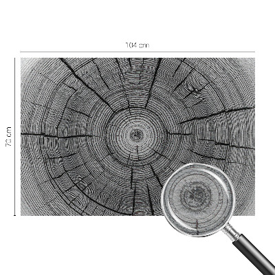 Vliesová fototapeta Lesná harmónia