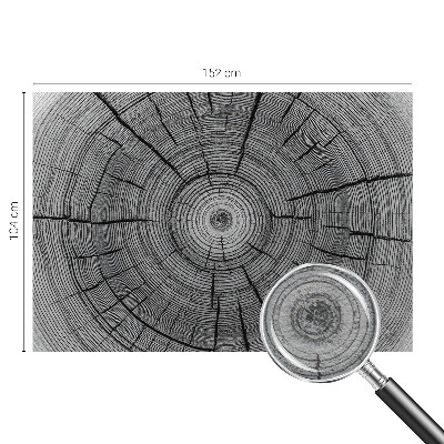 Vliesová fototapeta Lesná harmónia