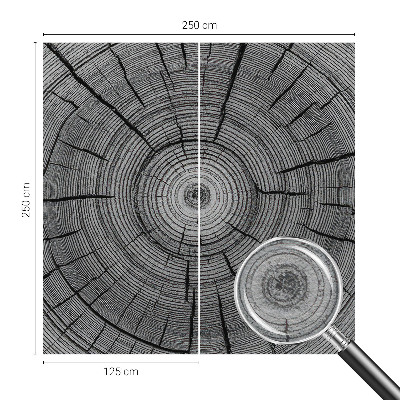 Vliesová fototapeta Lesná harmónia