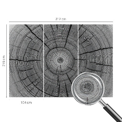 Vliesová fototapeta Lesná harmónia