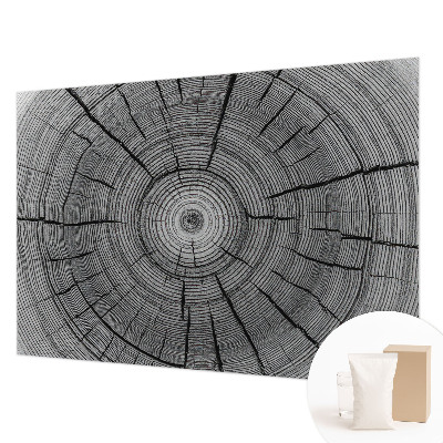 Vliesová fototapeta Lesná harmónia