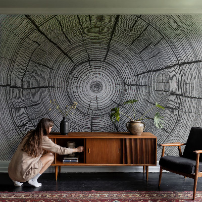 Vliesová fototapeta Lesná harmónia