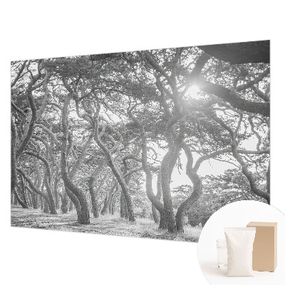 Tapeta s motívom atmosférického lesa