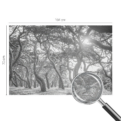 Tapeta Atmosférický les