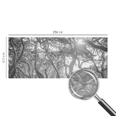 Tapeta Atmosférický les