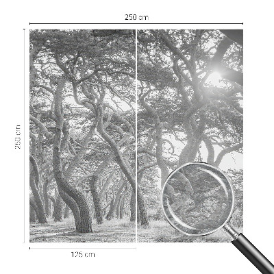 Tapeta Atmosférický les