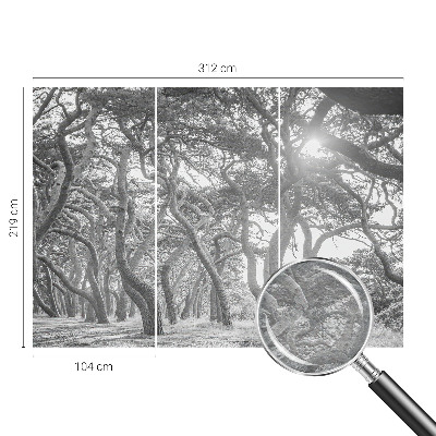 Tapeta Atmosférický les