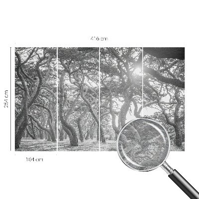 Tapeta Atmosférický les