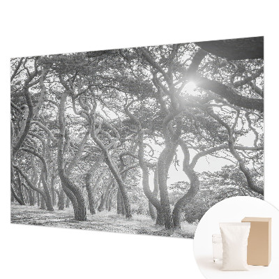 Tapeta Atmosférický les