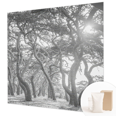 Tapeta Atmosférický les