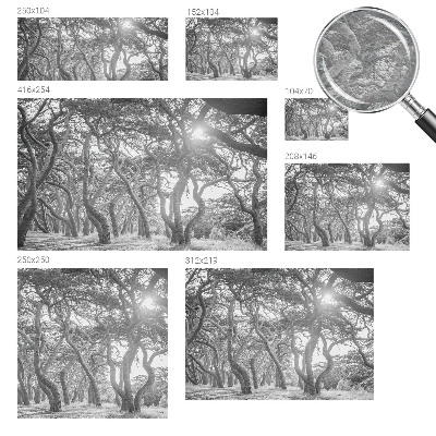 Tapeta Atmosférický les