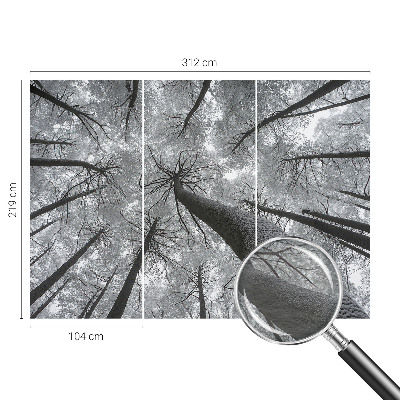 Vliesová fototapeta na stenu Zimná krajina