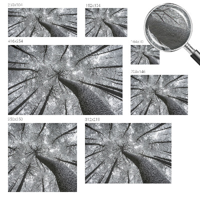 Vliesová fototapeta na stenu Zimná krajina