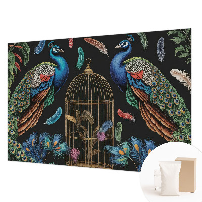 Fototapeta na stenu Exotické pávy