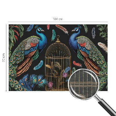 Fototapeta na stenu Exotické pávy