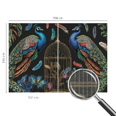 Fototapeta na stenu Exotické pávy