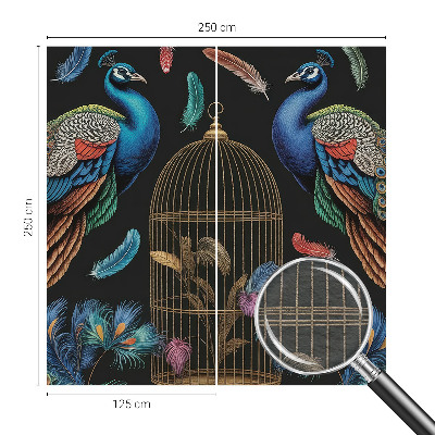 Fototapeta na stenu Exotické pávy