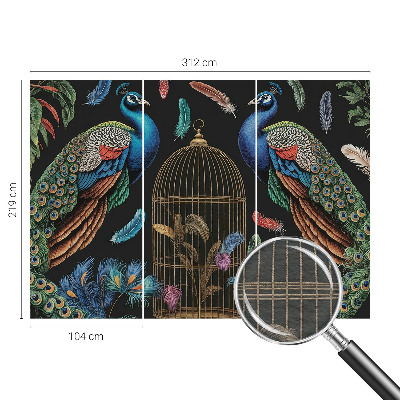 Fototapeta na stenu Exotické pávy