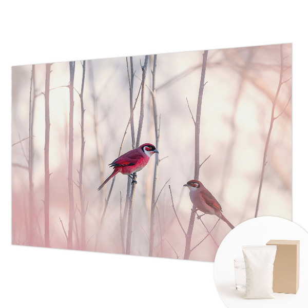 Vliesová fototapeta do obývačky Vtáčí pár