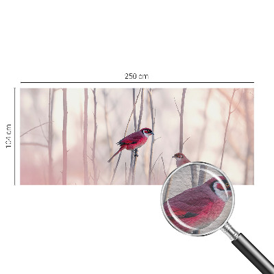 Vliesová fototapeta do obývačky Vtáčí pár