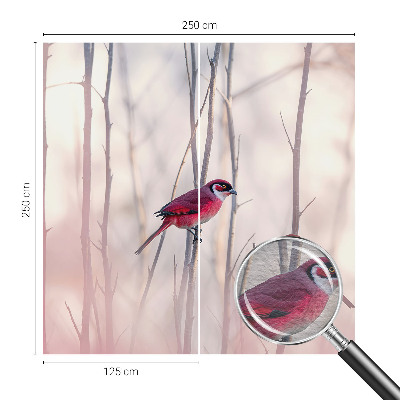 Vliesová fototapeta do obývačky Vtáčí pár