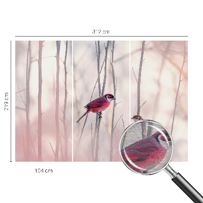 Vliesová fototapeta do obývačky Vtáčí pár