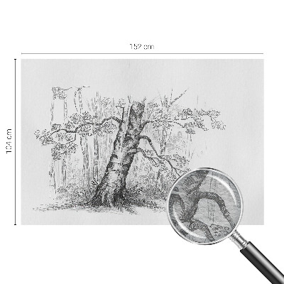 Fotografická tapeta vliesová Lesný strom