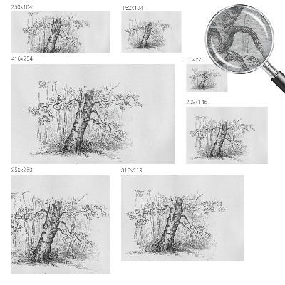 Fotografická tapeta vliesová Lesný strom