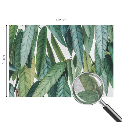 Fotografická tapeta na vliese Prírodné listy