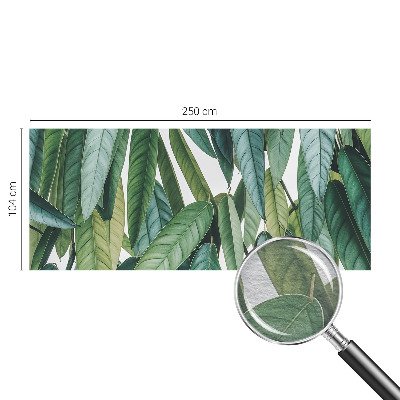 Fotografická tapeta na vliese Prírodné listy