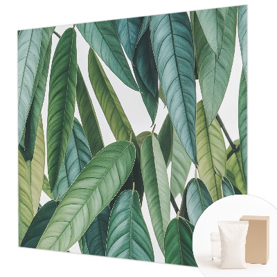 Fotografická tapeta na vliese Prírodné listy