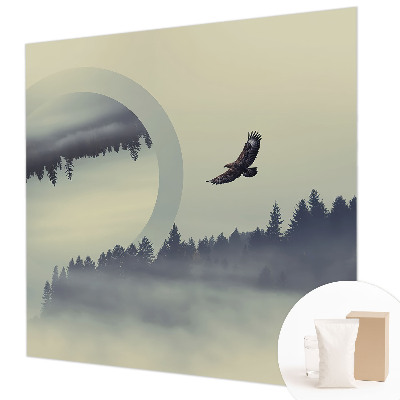 Fototapeta Lesná krajina