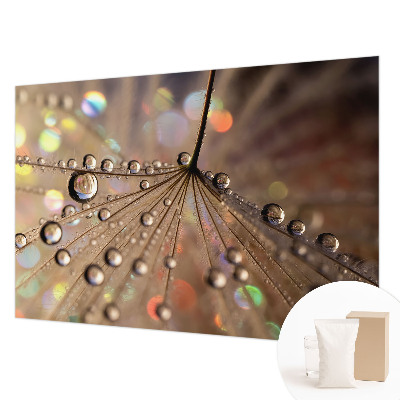 Fototapeta na mieru Perlové kvapky