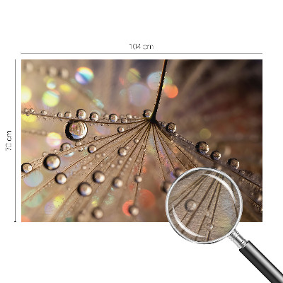 Fototapeta na mieru Perlové kvapky