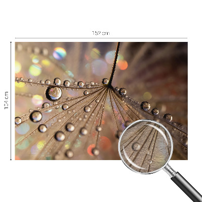 Fototapeta na mieru Perlové kvapky