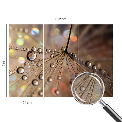 Fototapeta na mieru Perlové kvapky