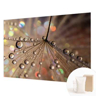 Fototapeta na mieru Perlové kvapky