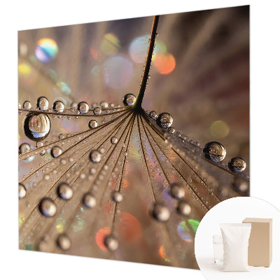 Fototapeta na mieru Perlové kvapky