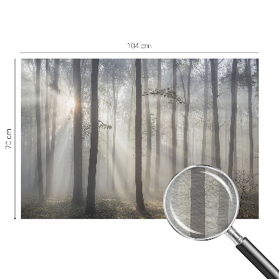 Vliesová fototapeta do spálne Éterický les