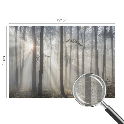 Vliesová fototapeta do spálne Éterický les