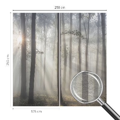 Vliesová fototapeta do spálne Éterický les