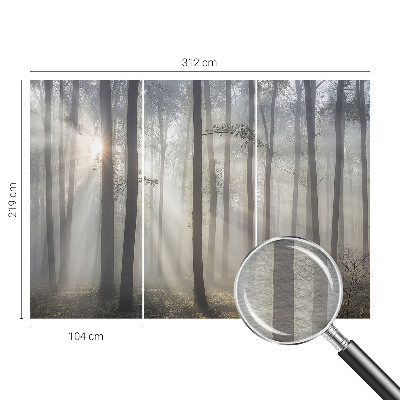 Vliesová fototapeta do spálne Éterický les