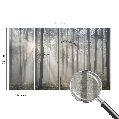 Vliesová fototapeta do spálne Éterický les