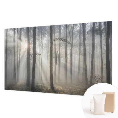 Vliesová fototapeta do spálne Éterický les