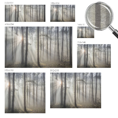 Vliesová fototapeta do spálne Éterický les