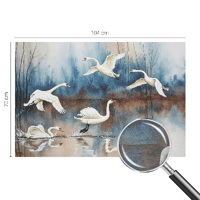 Fototapeta s potlačou na vliese Vtáky za letu