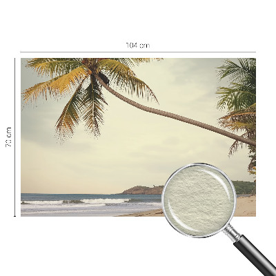 Vliesová fototapeta s potlačou Tropická krajina