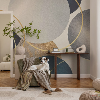 Moderná fototapeta na mieru Kreatívne kruhy